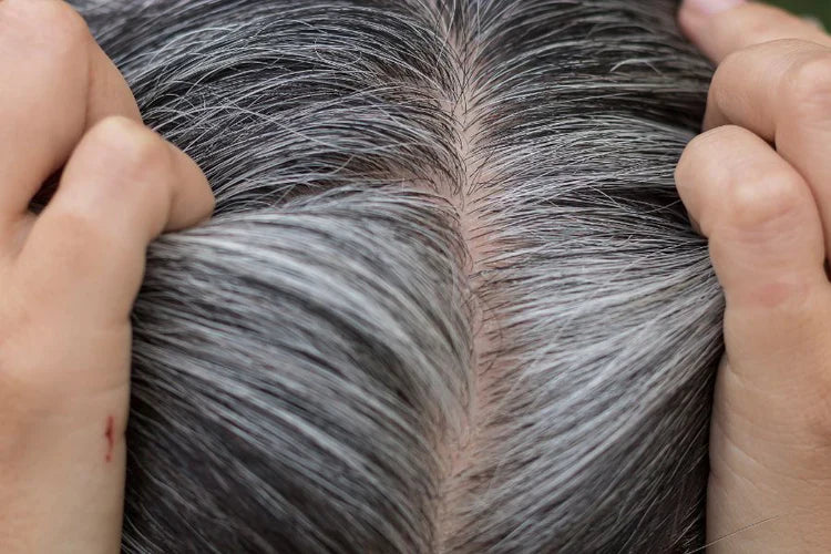 Remedies to Make Hair Black